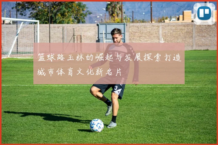 篮球路玉林的崛起与发展探索打造城市体育文化新名片