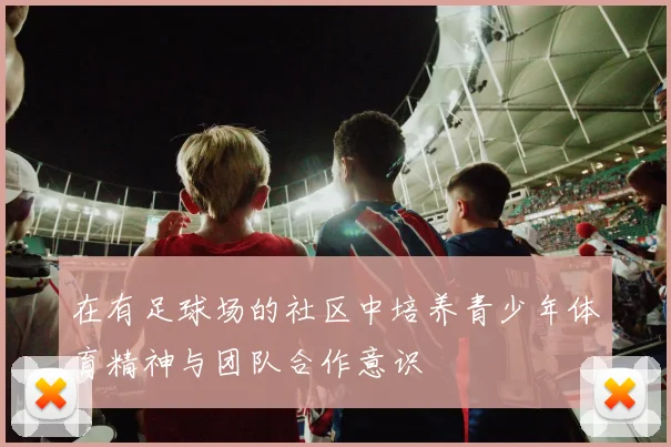 在有足球场的社区中培养青少年体育精神与团队合作意识