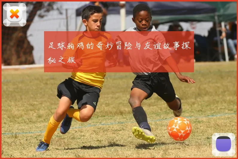 足球狗鸡的奇妙冒险与友谊故事探秘之旅