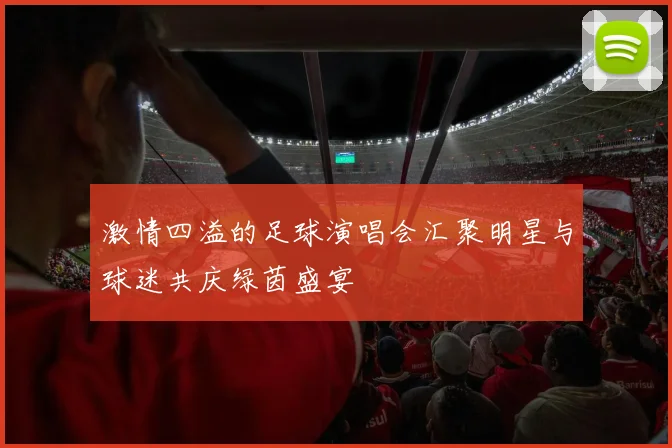 激情四溢的足球演唱会汇聚明星与球迷共庆绿茵盛宴