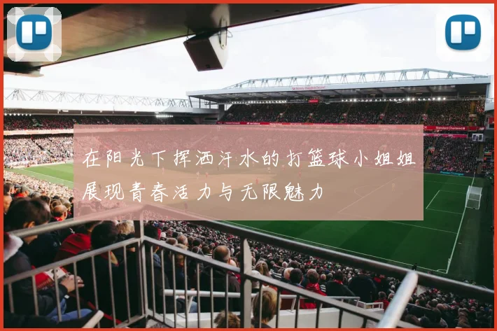 在阳光下挥洒汗水的打篮球小姐姐展现青春活力与无限魅力