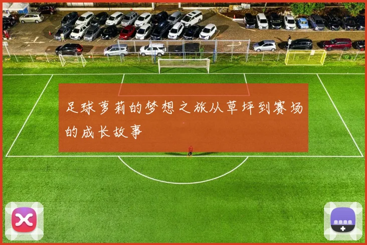 足球萝莉的梦想之旅从草坪到赛场的成长故事