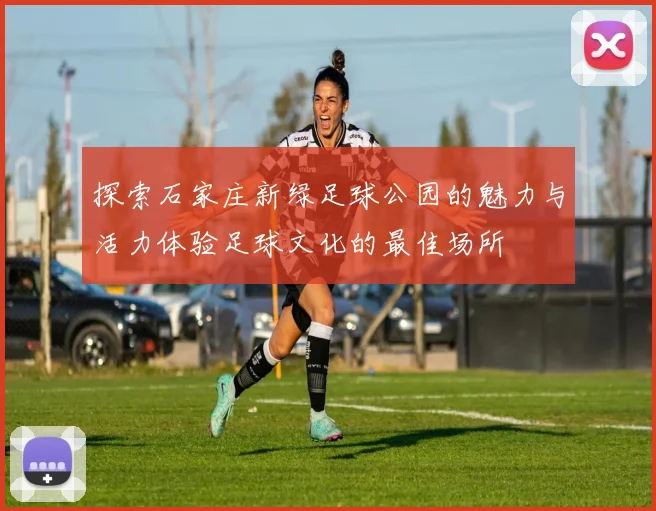 探索石家庄新绿足球公园的魅力与活力体验足球文化的最佳场所