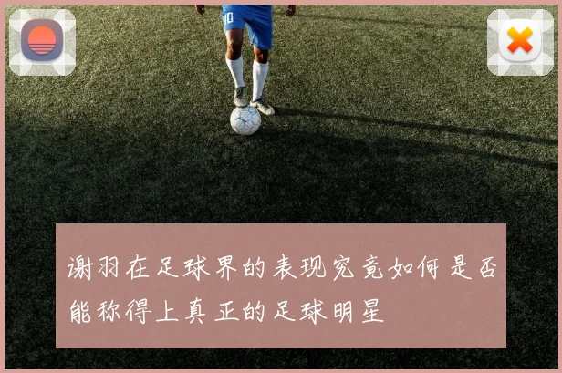 谢羽在足球界的表现究竟如何是否能称得上真正的足球明星