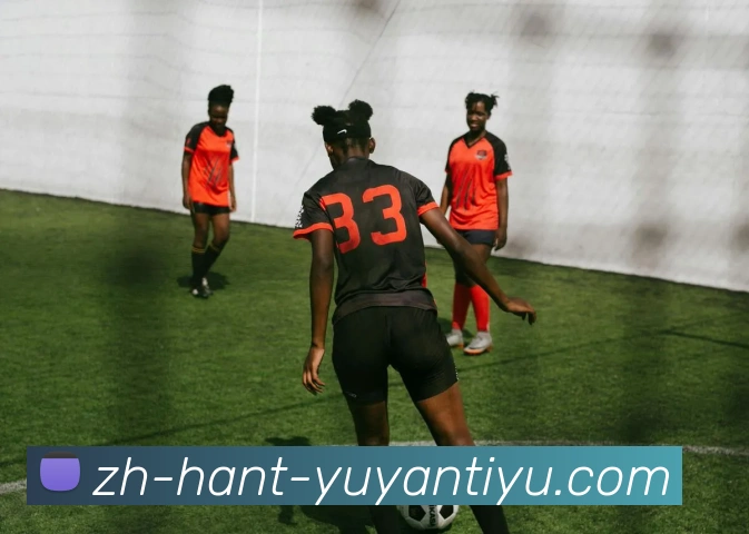 雨燕直播品牌故事