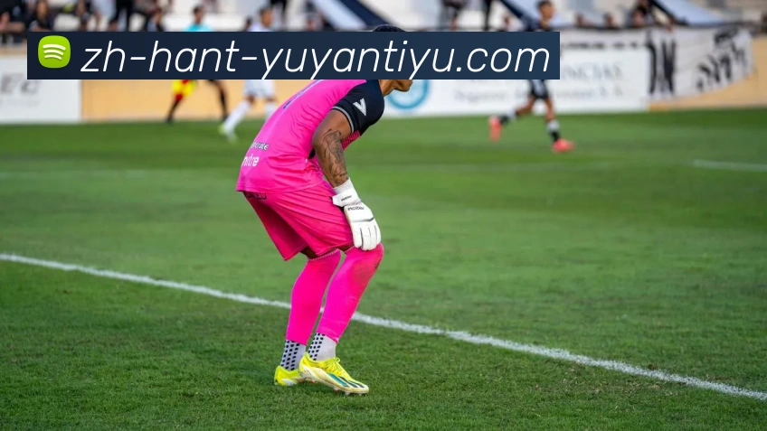 雨燕直播服务体系